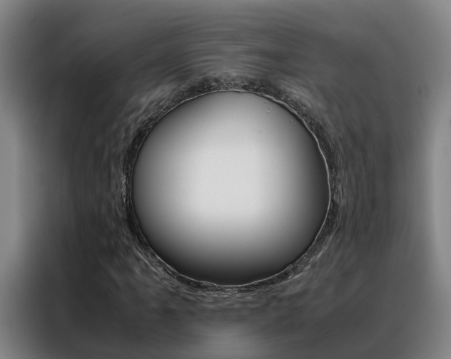 X0000088401061200705220817