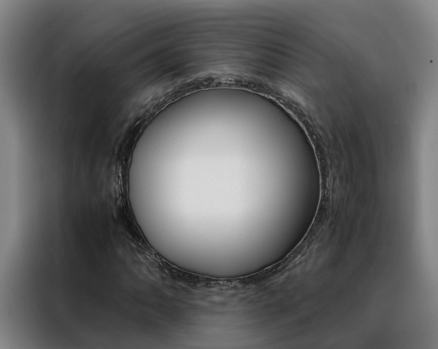 X0000088401062200705220817