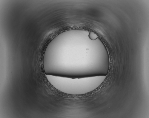X0000088401063200705220817