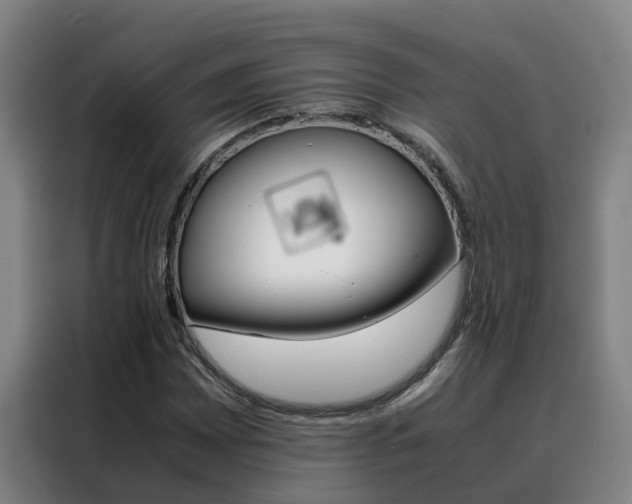 X0000088401065200705220817