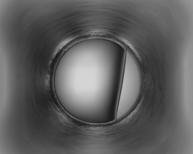 X0000088401066200705220817