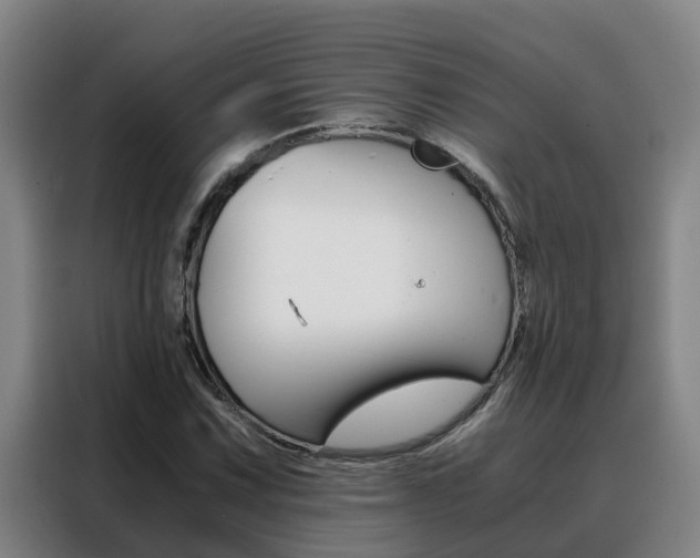 X0000088401067200705220817