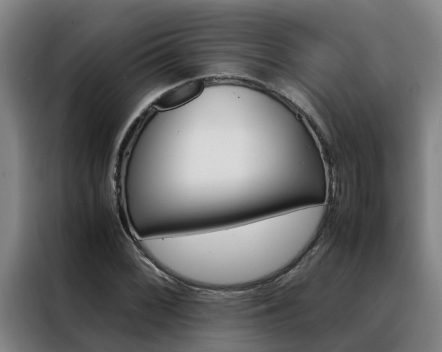 X0000088401068200705220817