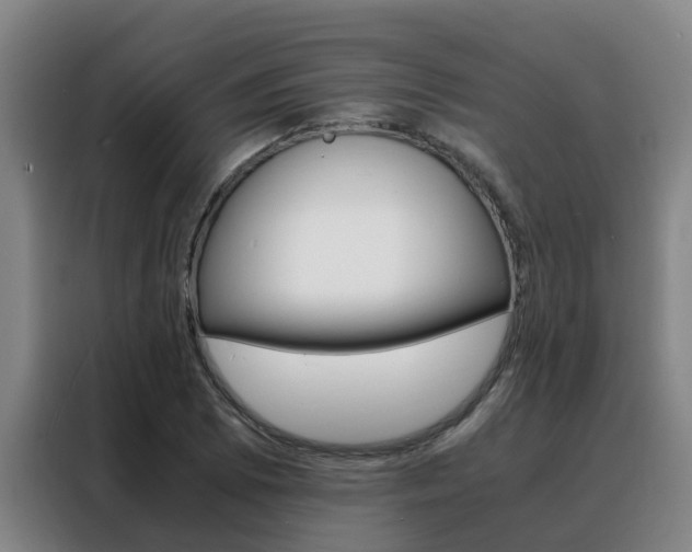 X0000088401073200705220816