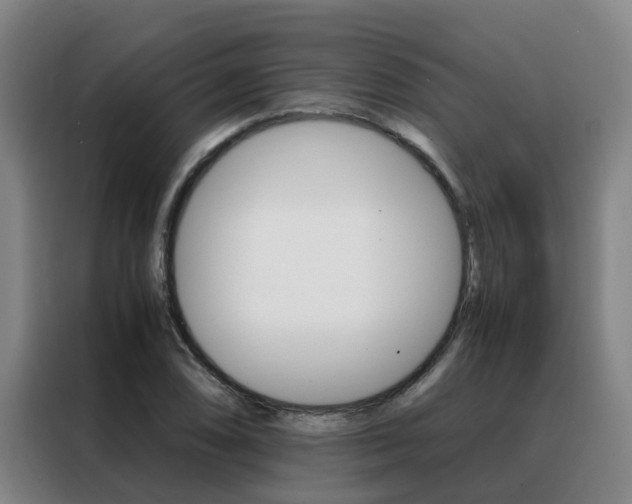 X0000088401074200705220816