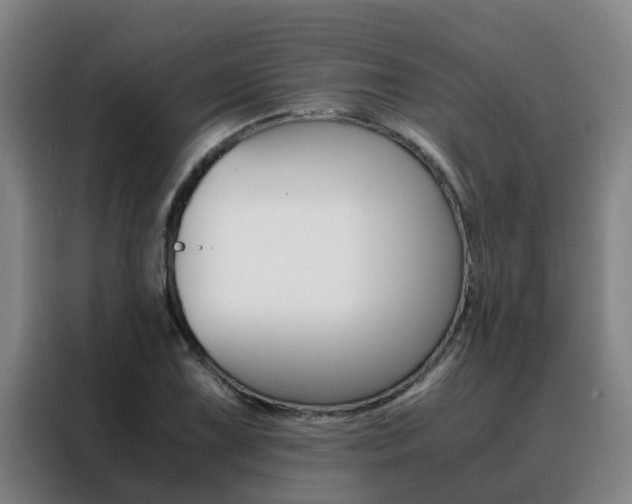 X0000088401075200705220816