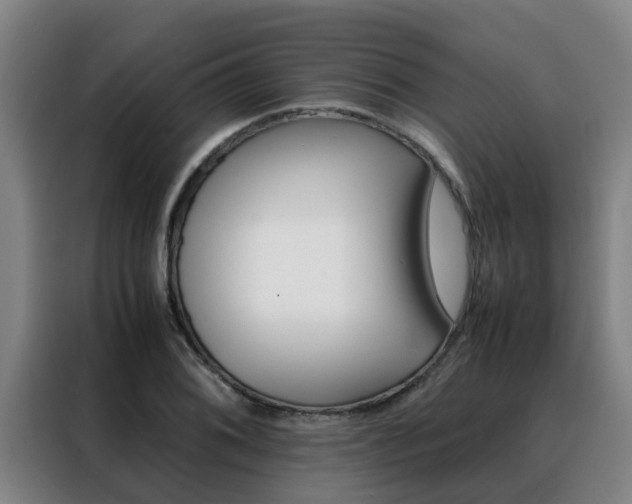 X0000088401076200705220816