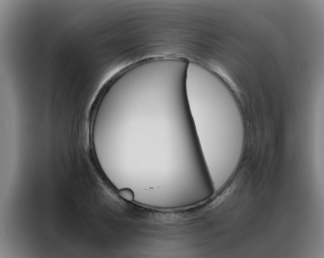X0000088401079200705220816