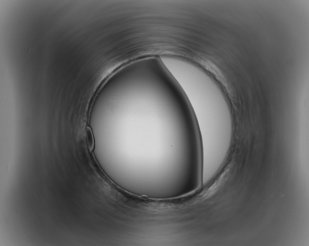 X0000088401081200705220816