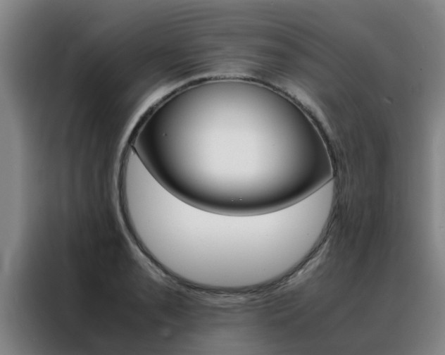 X0000088401085200705220816