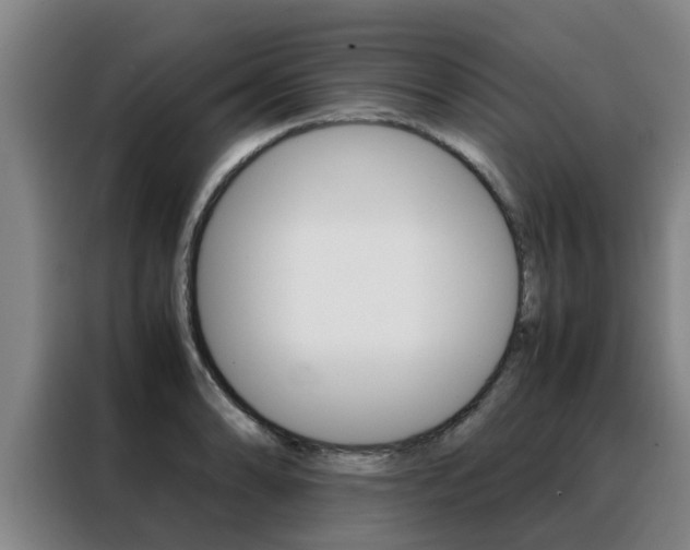 X0000088401086200705220816