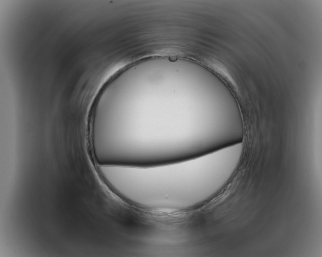X0000088401087200705220816