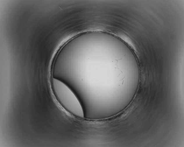 X0000088401088200705220816