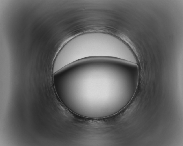 X0000088401089200705220816