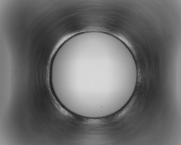 X0000088401094200705220816