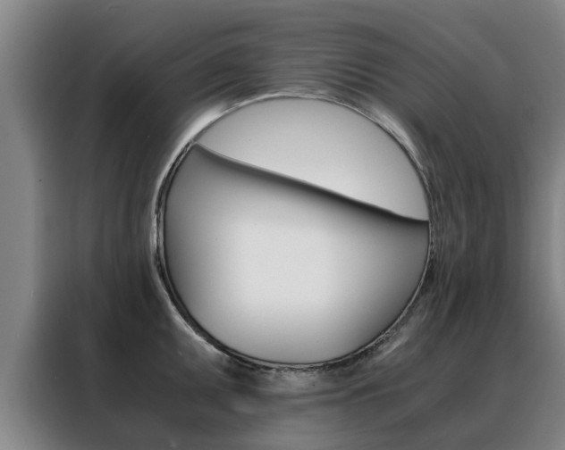 X0000088401095200705220816