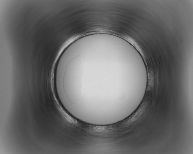 X0000088401098200705220816