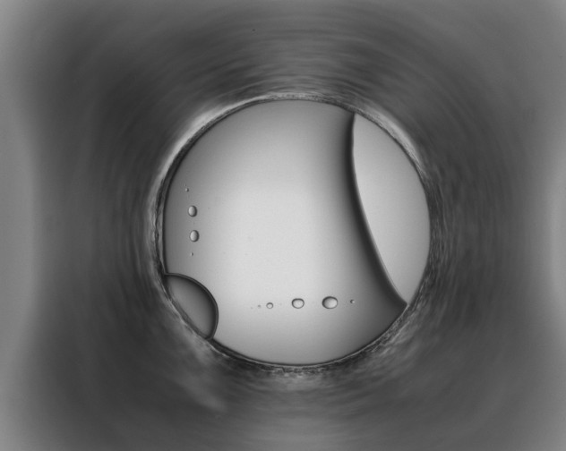 X0000088401099200705220816
