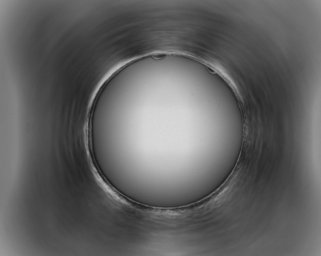 X0000088401100200705220816