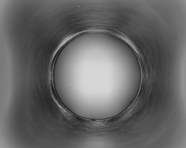 X0000088401101200705220816