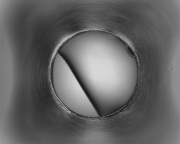 X0000088401104200705220816