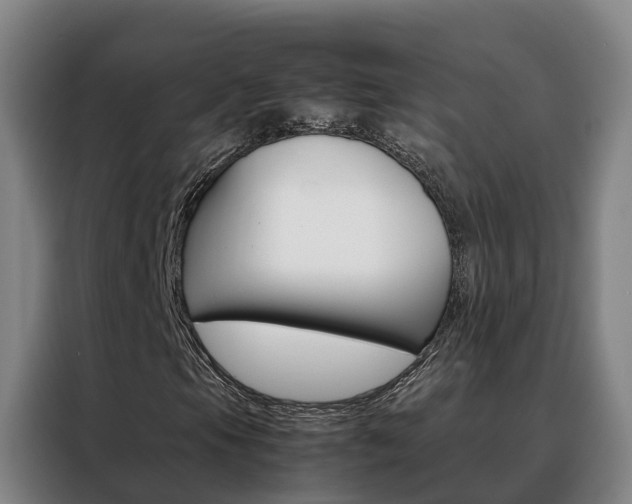 X0000088401105200705220815