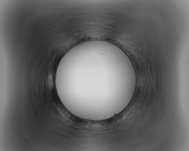 X0000088401106200705220815