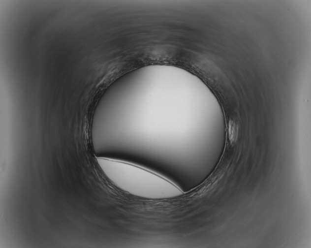 X0000088401107200705220815