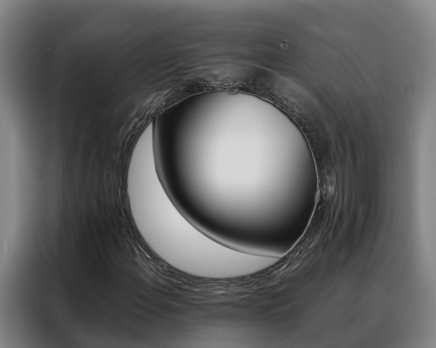 X0000088401108200705220815