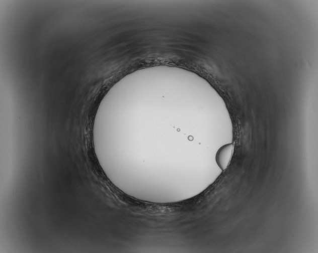 X0000088401109200705220815