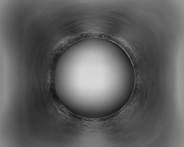 X0000088401110200705220815