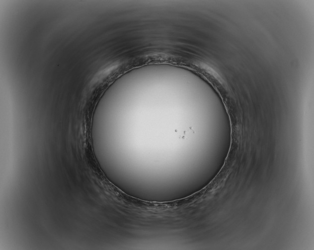 X0000088401111200705220815