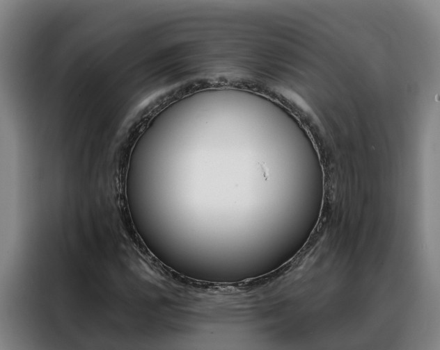 X0000088401112200705220816
