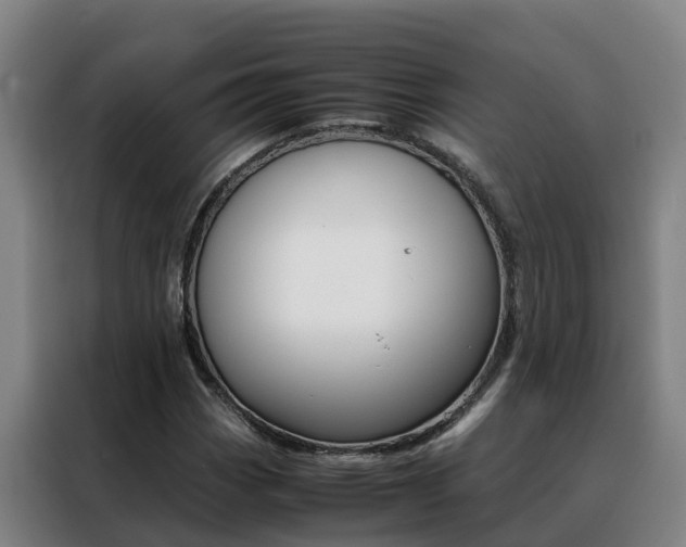 X0000088401113200705220816