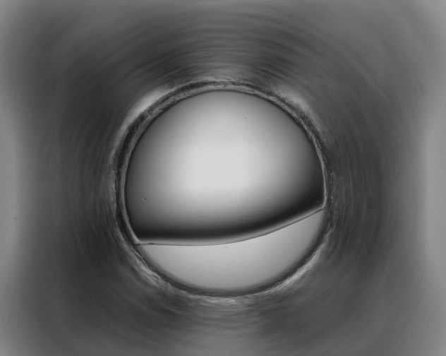 X0000088401114200705220816