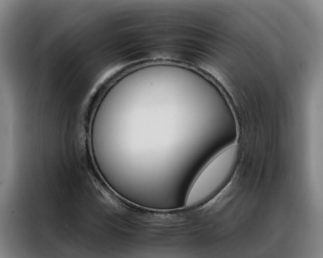 X0000088401115200705220816