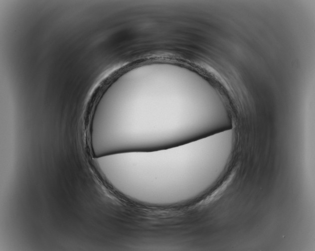 X0000088401117200705220816