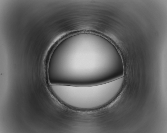 X0000088401118200705220816