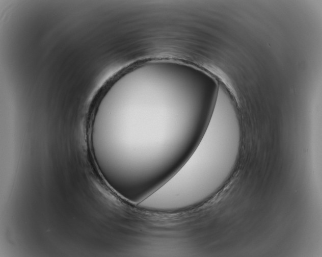 X0000088401120200705220816