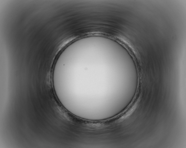 X0000088401121200705220816