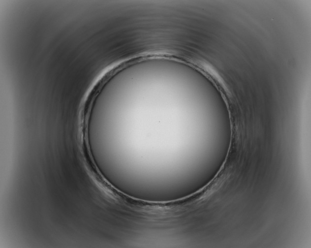 X0000088401124200705220816