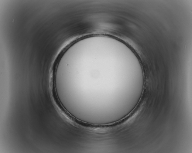 X0000088401126200705220816