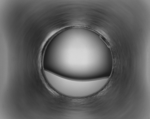 X0000088401128200705220816