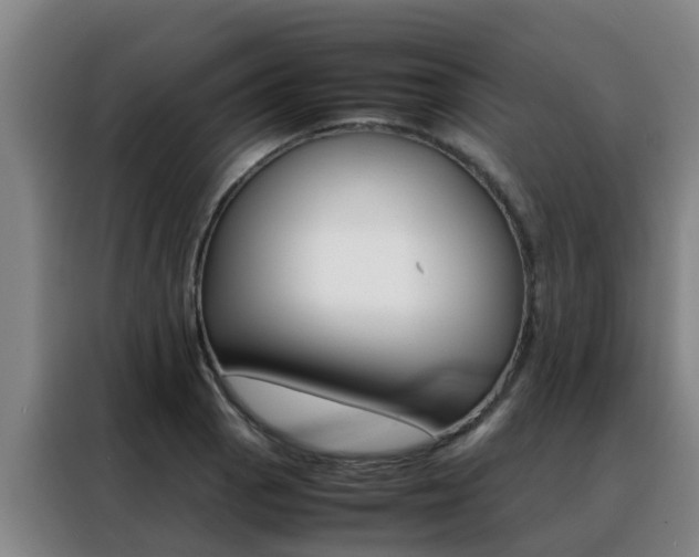 X0000088401129200705220816