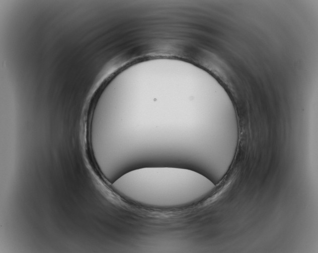 X0000088401130200705220816