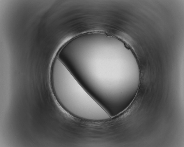 X0000088401135200705220816