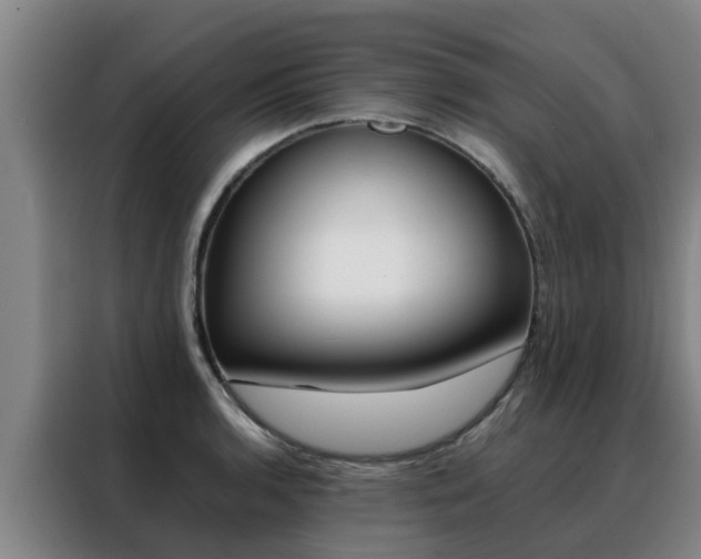 X0000088401136200705220816