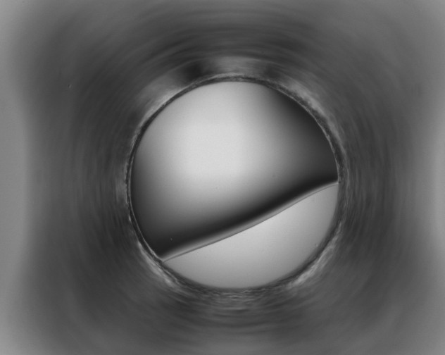 X0000088401137200705220816