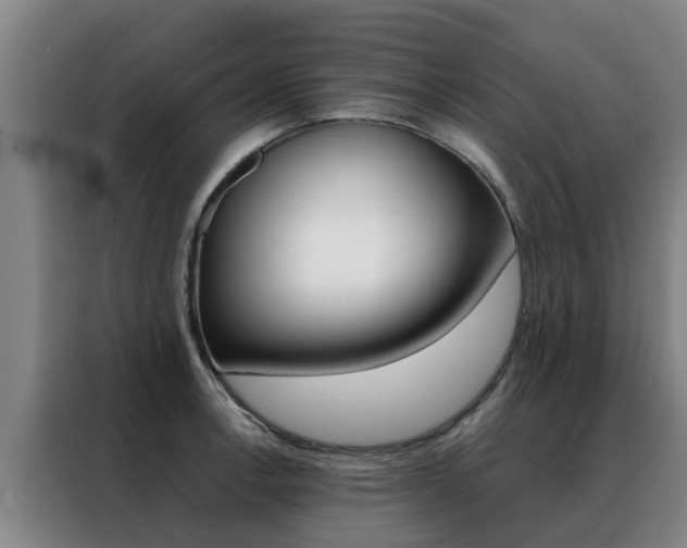 X0000088401138200705220816