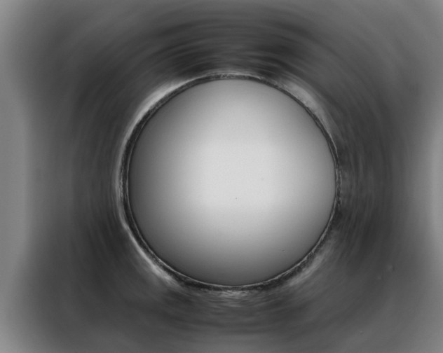 X0000088401141200705220816